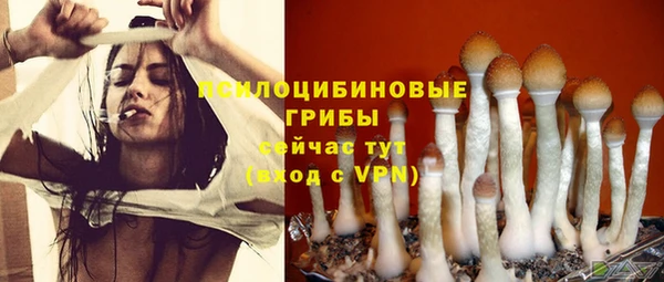 MDMA Краснослободск